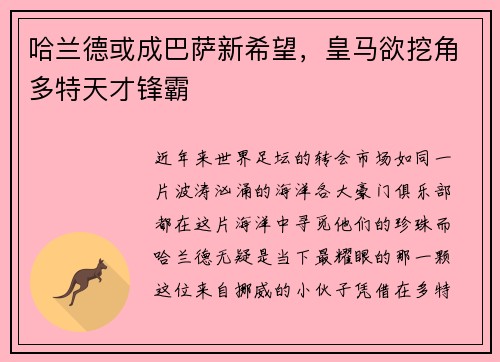 哈兰德或成巴萨新希望，皇马欲挖角多特天才锋霸