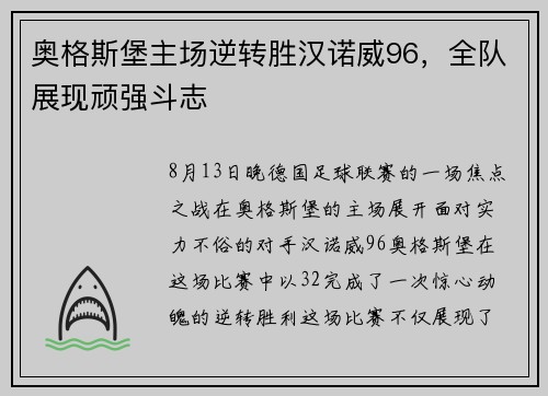 奥格斯堡主场逆转胜汉诺威96，全队展现顽强斗志